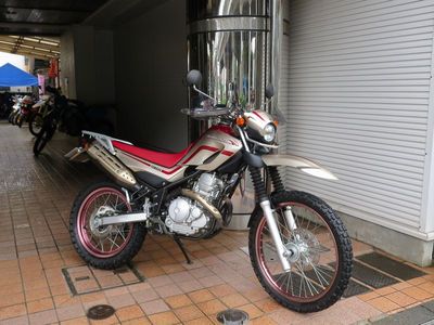 serow250_1.jpg