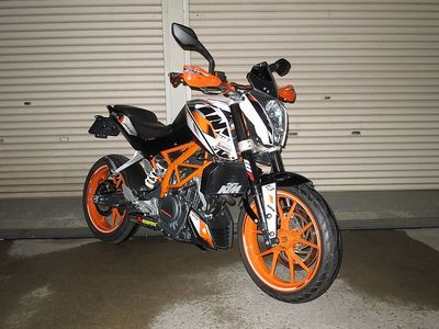390duke_800.JPG