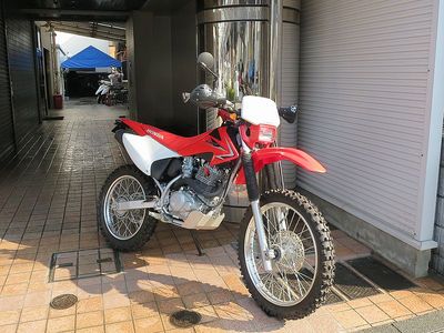crf230f.JPG