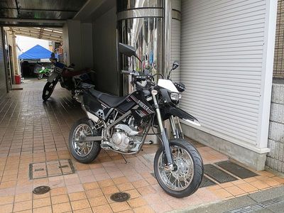d-tora_800.jpg