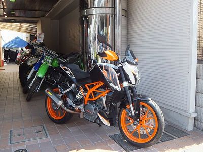 390duke_800.jpg