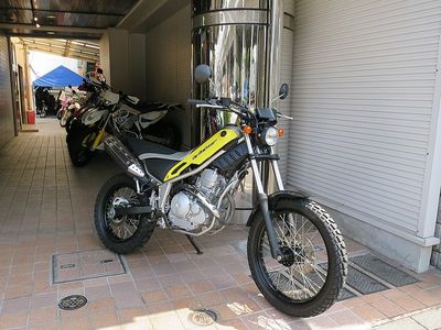 tricker_800.jpgのサムネール画像