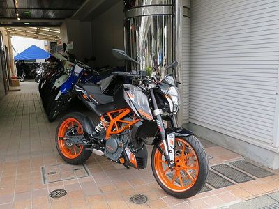 390duke_y.jpg