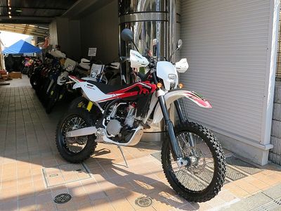 te450_800.JPG