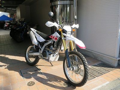 wr250r_shiro_800.jpg