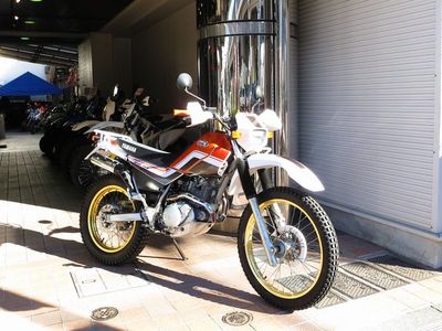 serow225-3.jpg