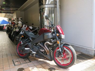 buell xb12scg.JPG