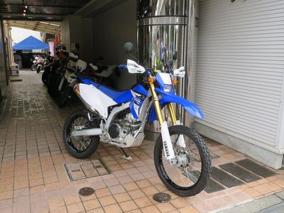 wr250r_br.JPG