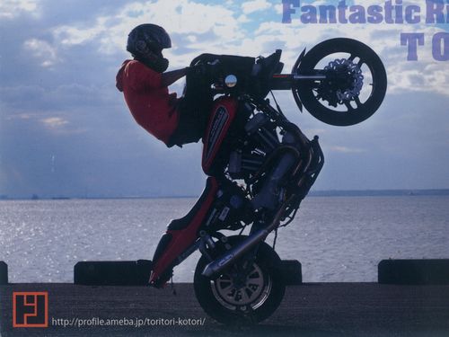 Fantastic Rider TORI XR1200 Specialist