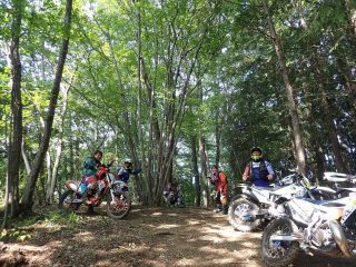 Thumbnail of post image 141