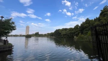 Thumbnail of post image 182