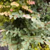 Thumbnail of new posts 025