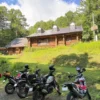 Thumbnail of new posts 018