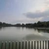 Thumbnail of new posts 190