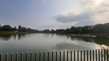 Thumbnail of post image 148