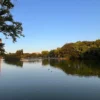 Thumbnail of new posts 148