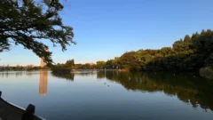 Thumbnail of post image 021