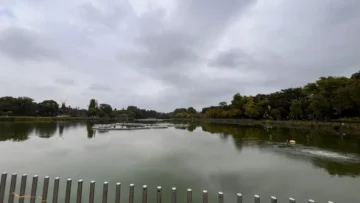 Thumbnail of post image 158