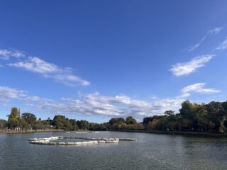 Thumbnail of post image 095