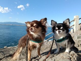 Thumbnail of post image 014