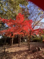 Thumbnail of new posts 055