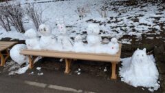 Thumbnail of new posts 124